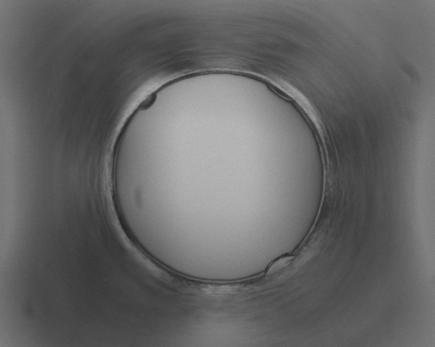 X0000116331389200912291544