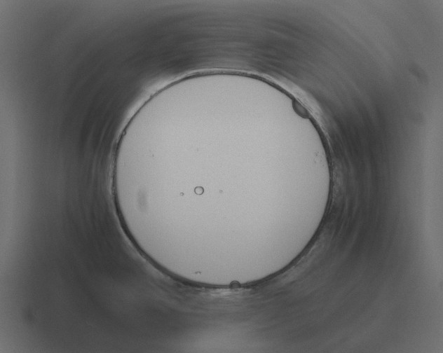 X0000116331390200912291544