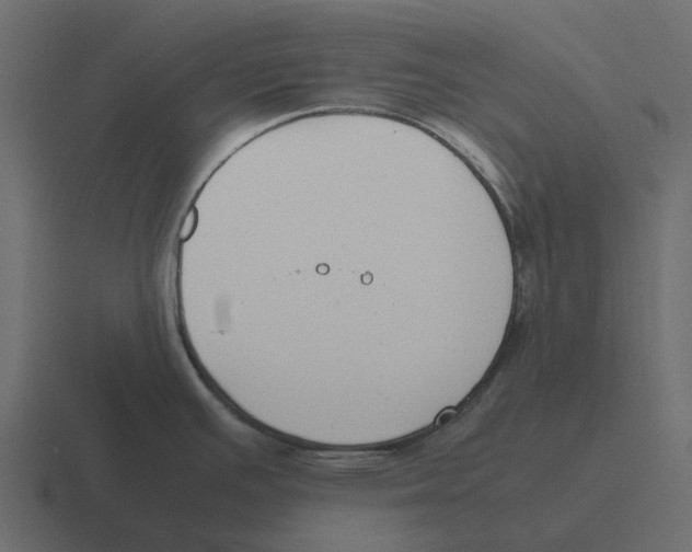 X0000116331391200912291544