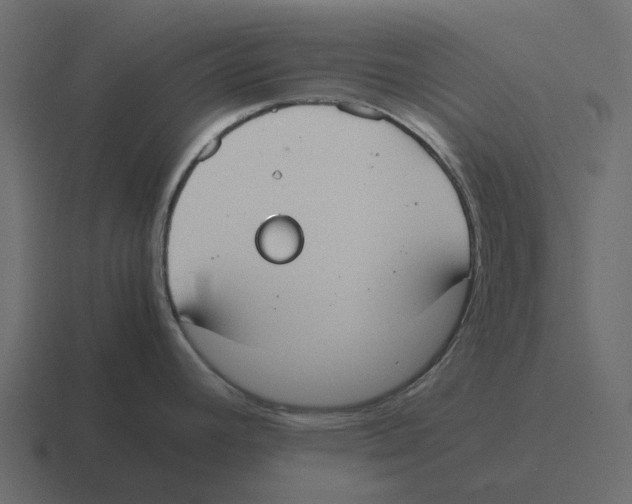 X0000116331392200912291544