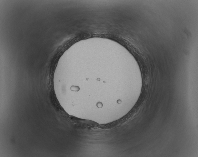 X0000116331398200912291544