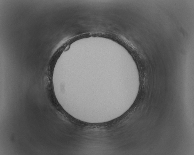 X0000116331400200912291544