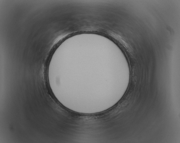 X0000116331404200912291544