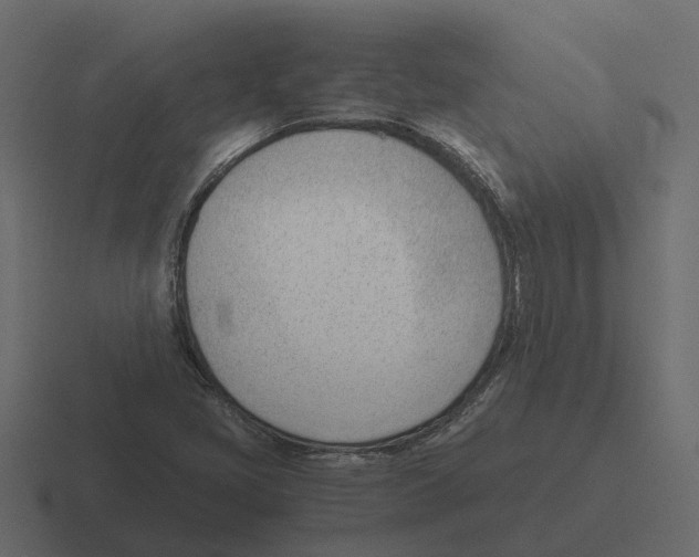 X0000116331405200912291544