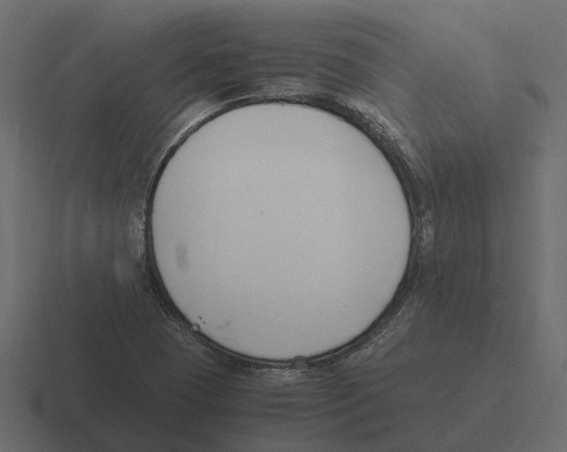 X0000116331409200912291544