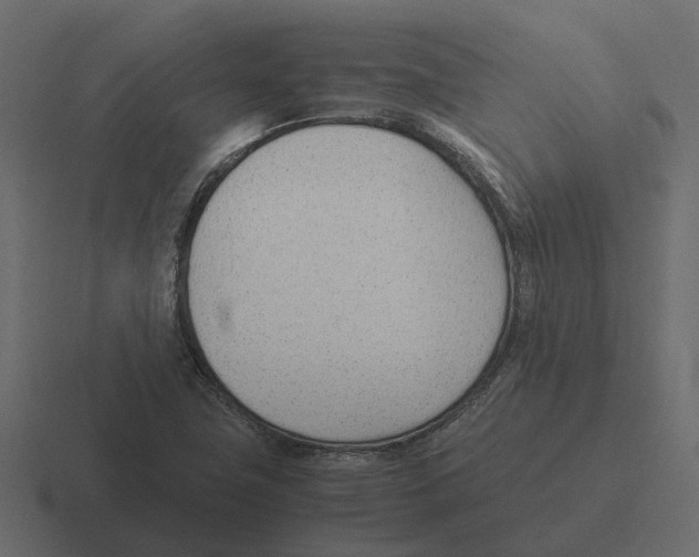 X0000116331411200912291544