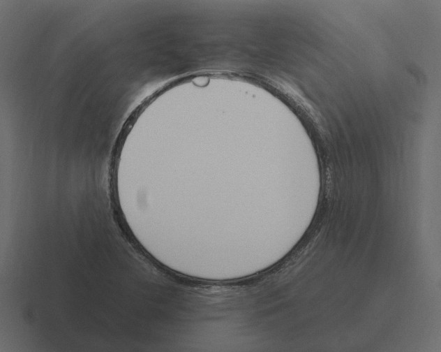 X0000116331412200912291544