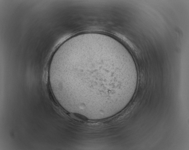 X0000116331413200912291544