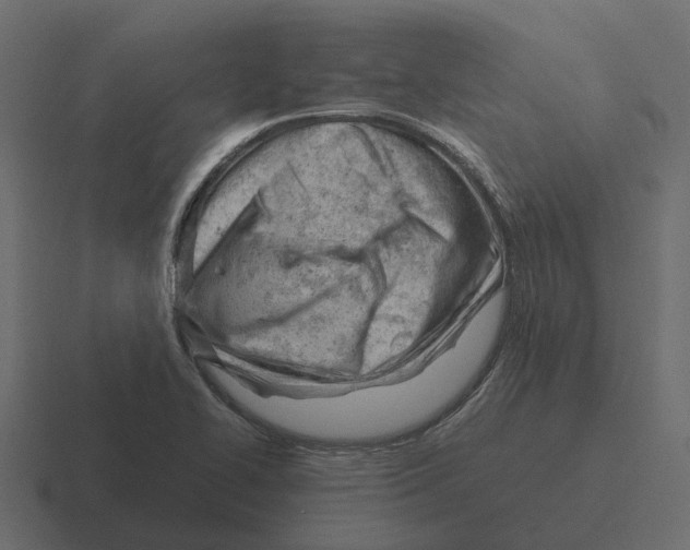 X0000116331414200912291544