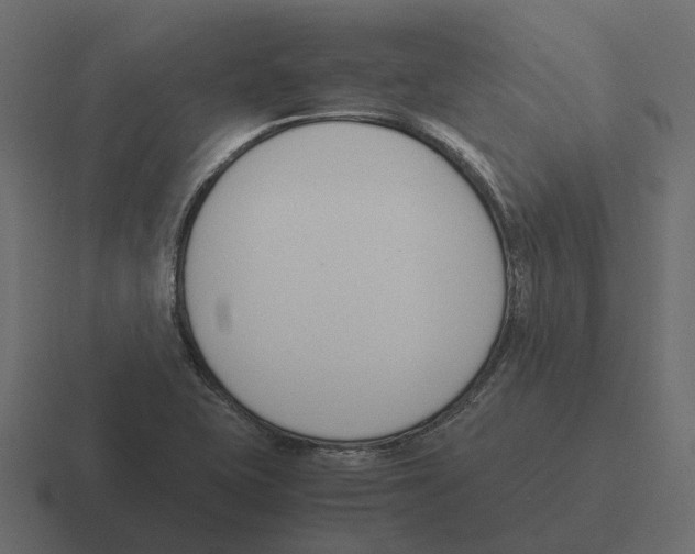 X0000116331415200912291544