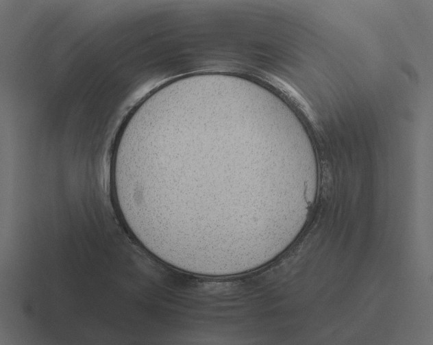 X0000116331419200912291544