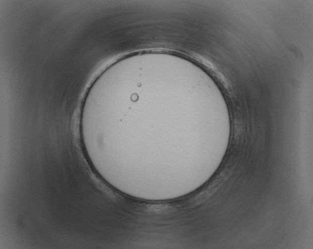 X0000116331421200912291544