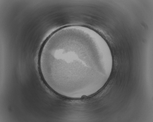 X0000116331422200912291544