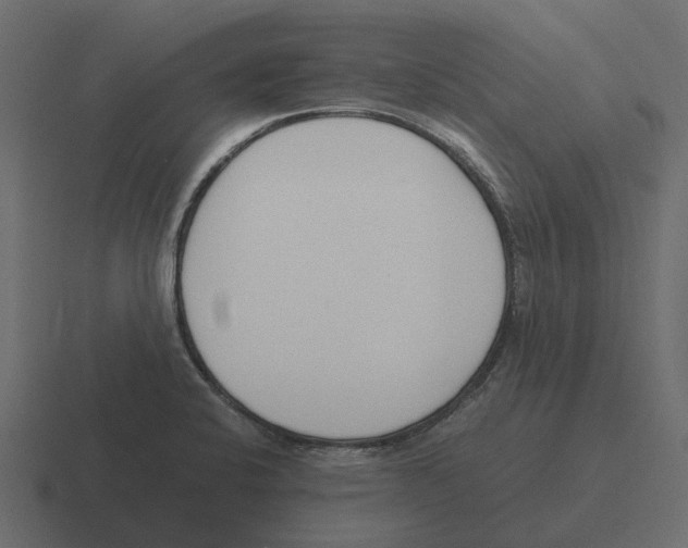 X0000116331424200912291544