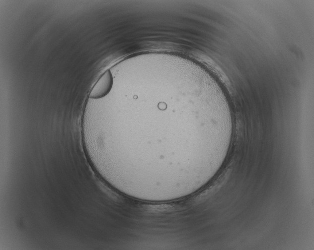 X0000116331425200912291544