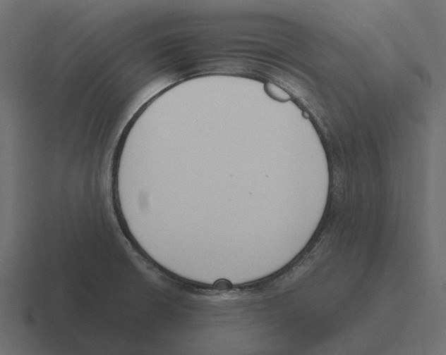 X0000116331426200912291544