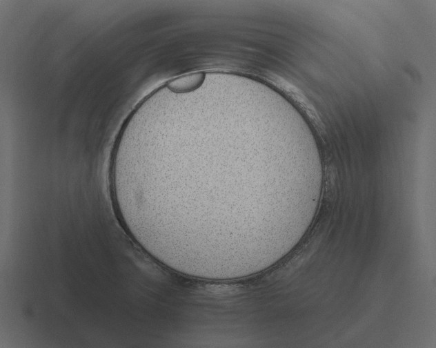 X0000116331427200912291544