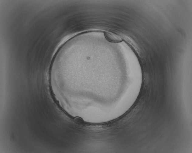 X0000116331428200912291544