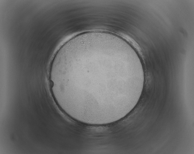 X0000116331429200912291544