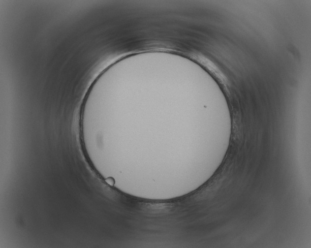 X0000116331431200912291544