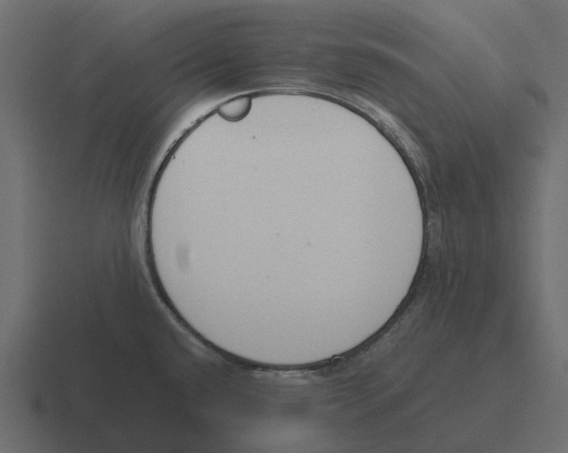 X0000116331432200912291544