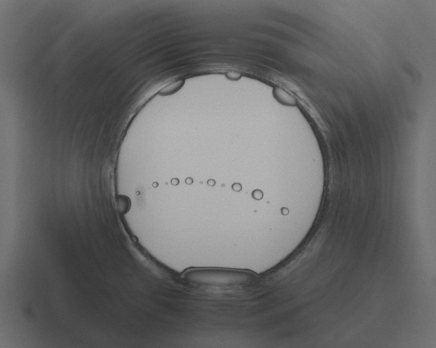 X0000116331433200912291544