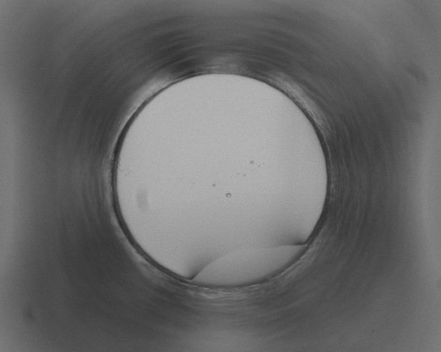 X0000116331434200912291544