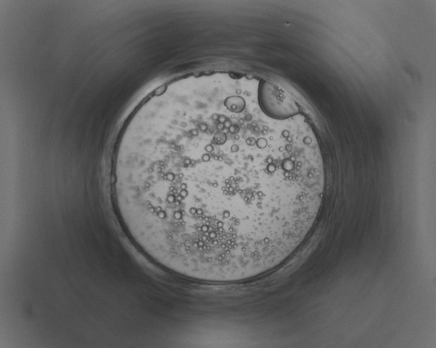 X0000116331438200912291544