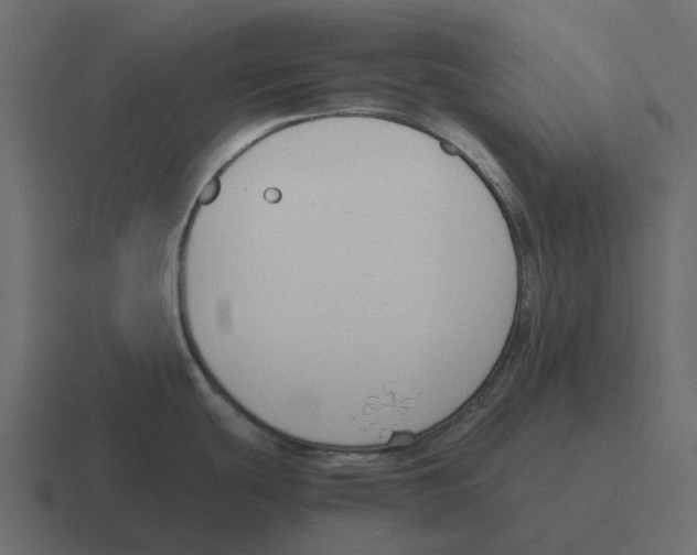 X0000116331439200912291544