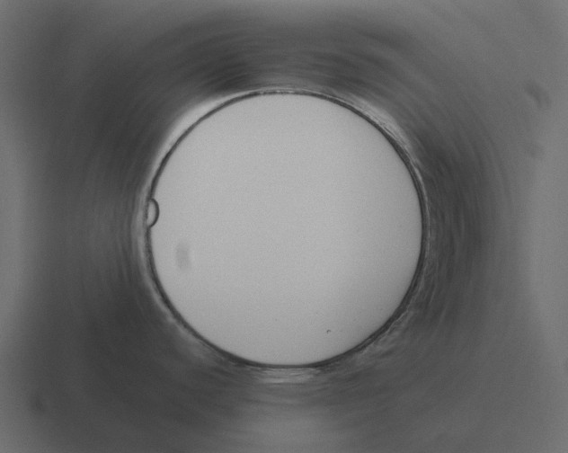 X0000116331440200912291544