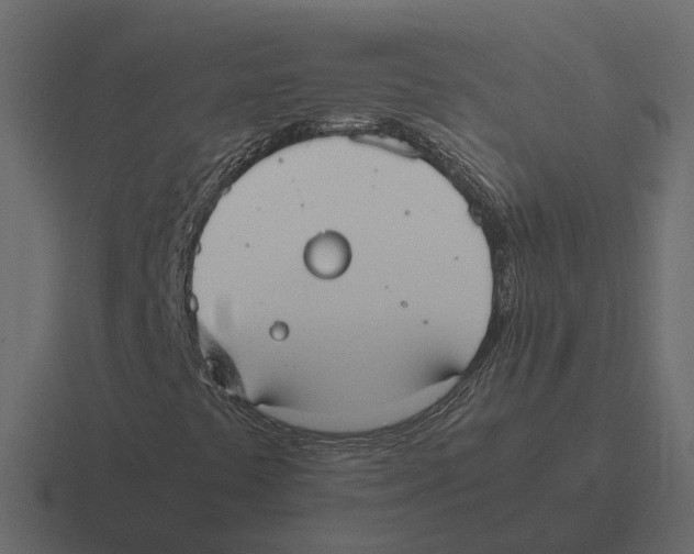 X0000116331441200912291543