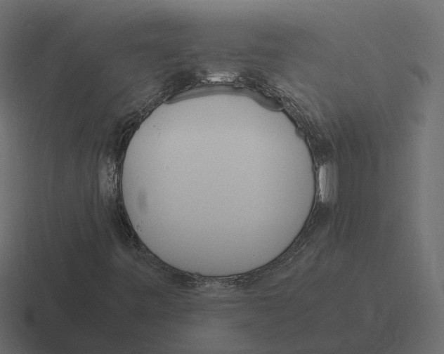 X0000116331443200912291543