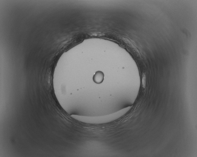 X0000116331444200912291543