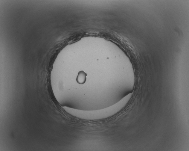 X0000116331445200912291543