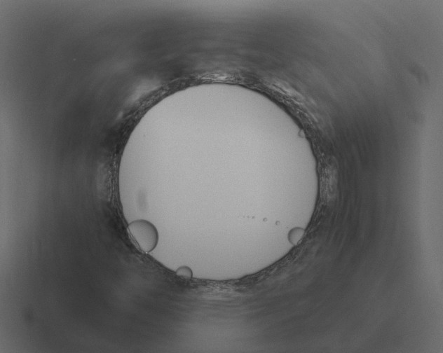 X0000116331446200912291543