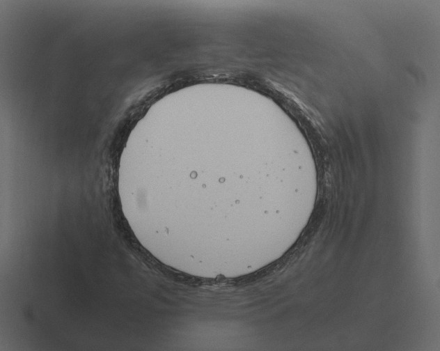 X0000116331447200912291543