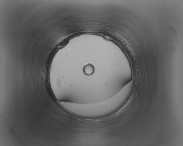 X0000116331449200912291543