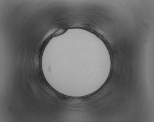 X0000116331450200912291543