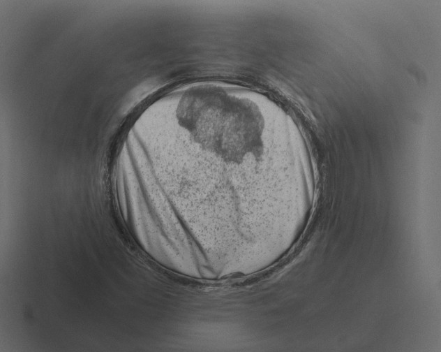 X0000116331453200912291543