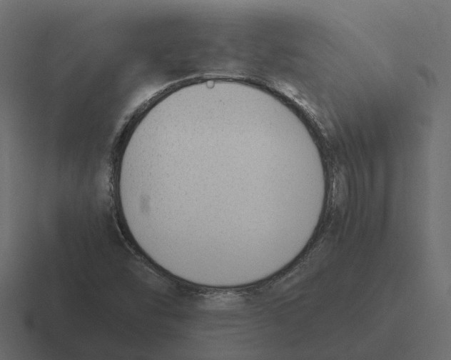 X0000116331454200912291543