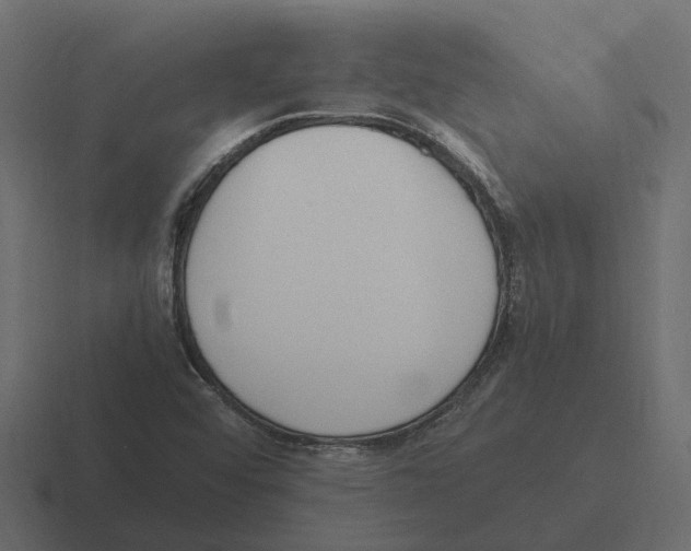 X0000116331456200912291543