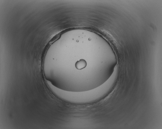 X0000116331457200912291543