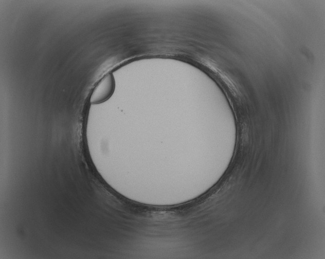 X0000116331459200912291543