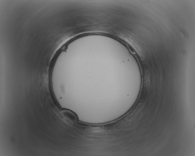 X0000116331460200912291543