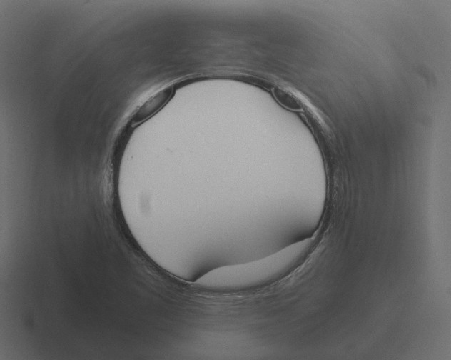 X0000116331461200912291543