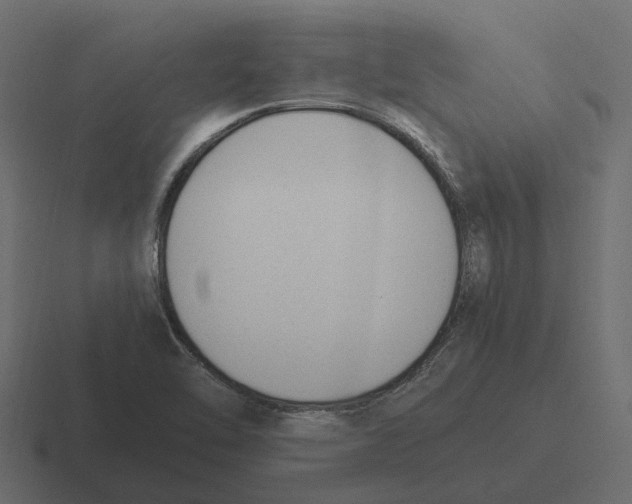 X0000116331462200912291543