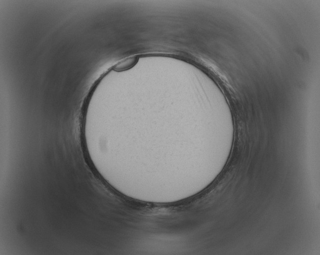 X0000116331463200912291543