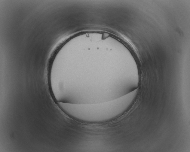 X0000116331464200912291543