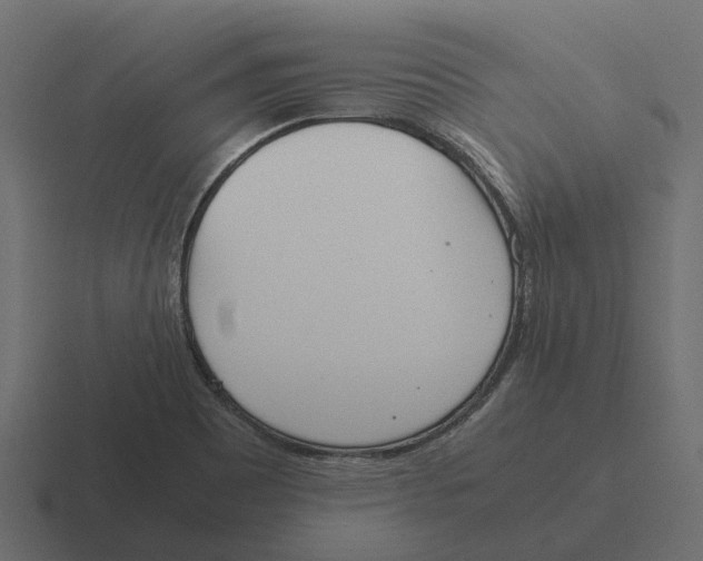 X0000116331465200912291543