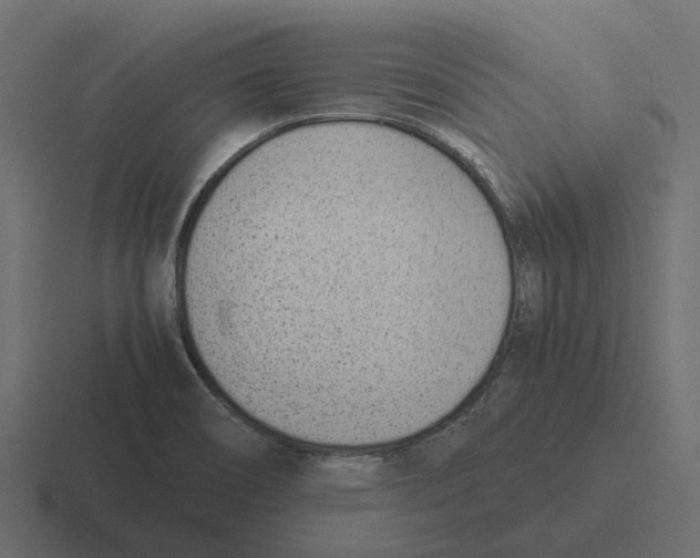 X0000116331466200912291543